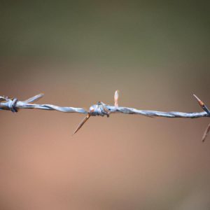 gdzie jest auschwitz