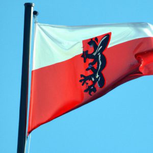 żarty po śląsku