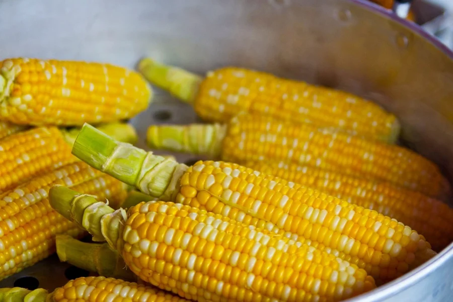 Jak ugotować kukurydzę? Jak długo trzeba gotować kukurydzę
